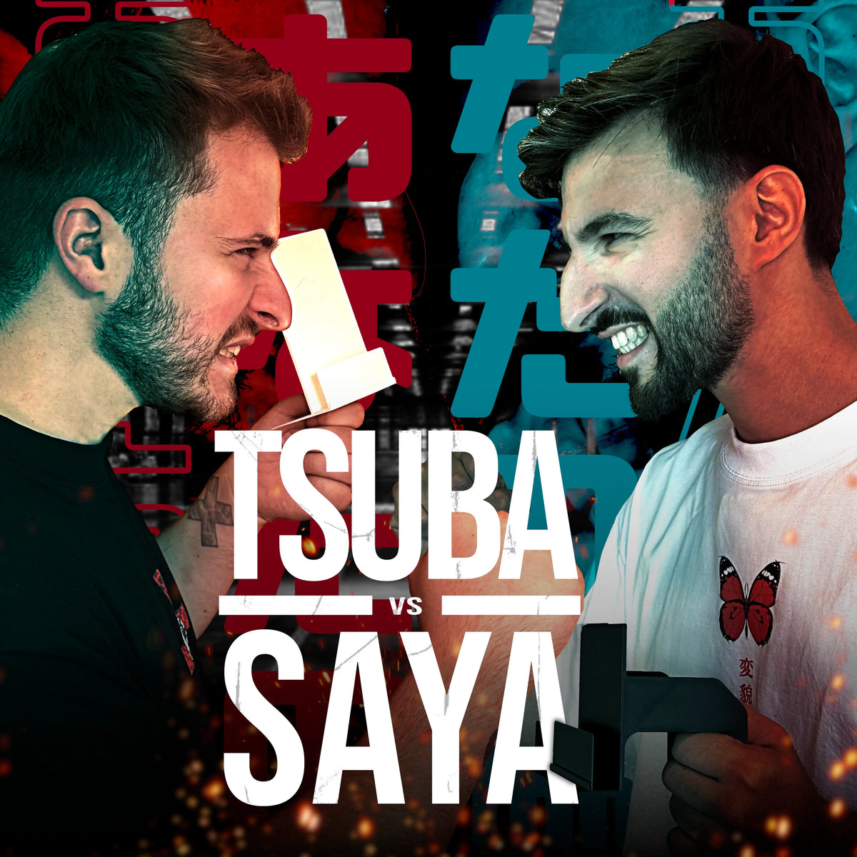 Tsuba VS Saya