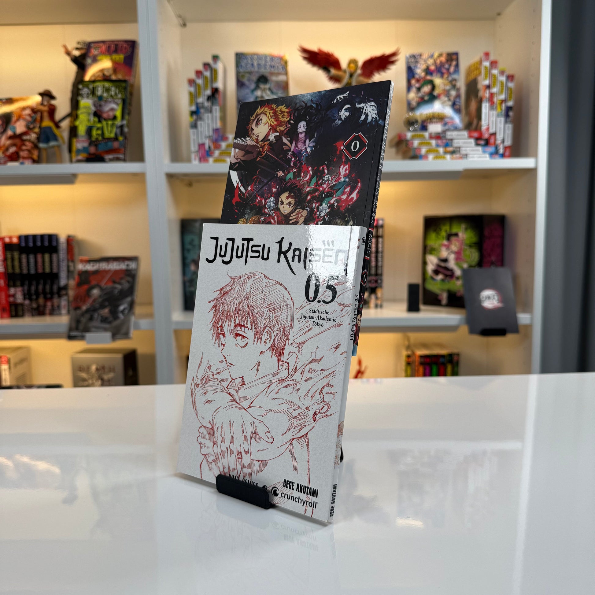 manga aufbewahrung Dual Display Manga Bookstand Display Buchständer Organizer – MangaGuardian